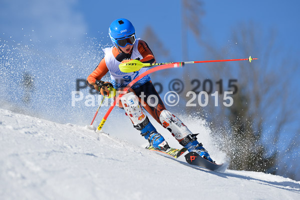 Sechzger Pokal SL 2015