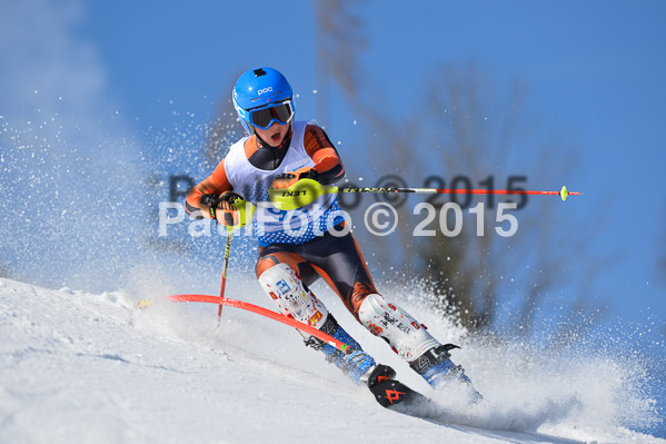 Sechzger Pokal SL 2015