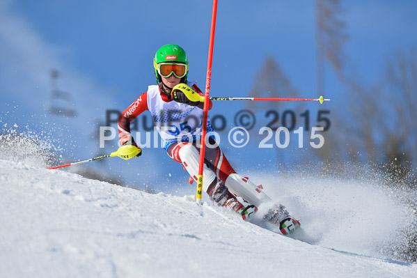 Sechzger Pokal SL 2015