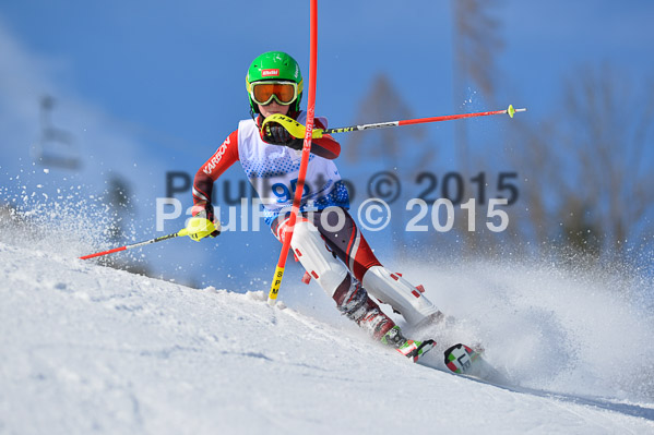 Sechzger Pokal SL 2015