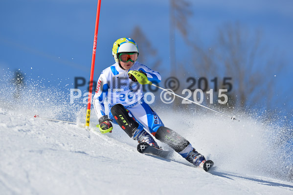 Sechzger Pokal SL 2015