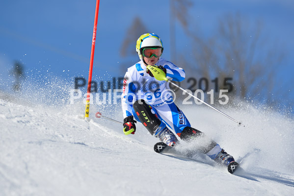 Sechzger Pokal SL 2015