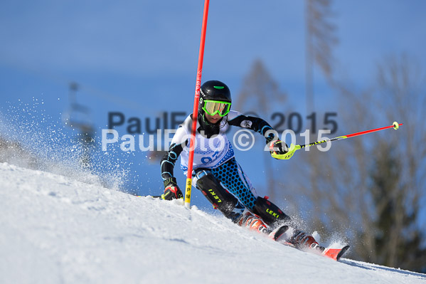 Sechzger Pokal SL 2015