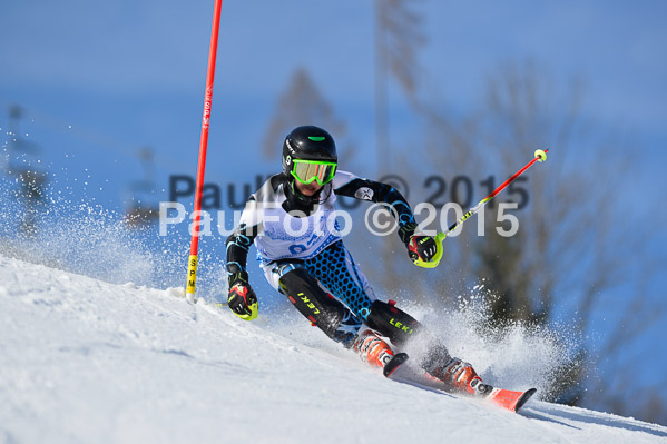 Sechzger Pokal SL 2015