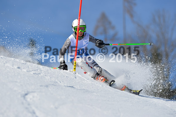 Sechzger Pokal SL 2015