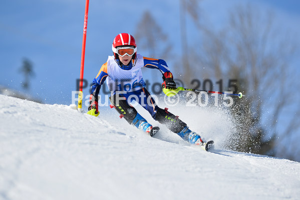 Sechzger Pokal SL 2015