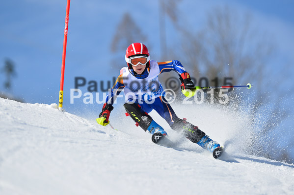 Sechzger Pokal SL 2015
