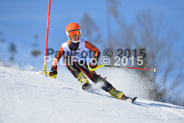 Sechzger Pokal SL 2015