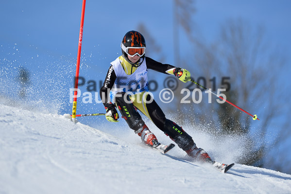 Sechzger Pokal SL 2015