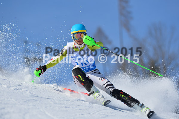 Sechzger Pokal SL 2015