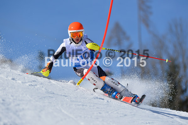 Sechzger Pokal SL 2015