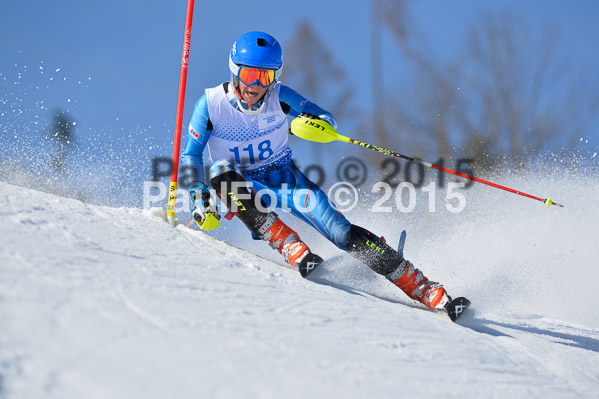Sechzger Pokal SL 2015