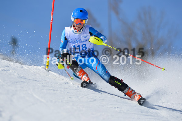 Sechzger Pokal SL 2015