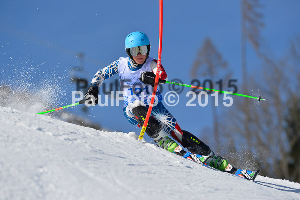 Sechzger Pokal SL 2015