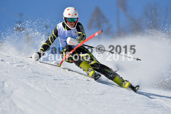 Sechzger Pokal SL 2015
