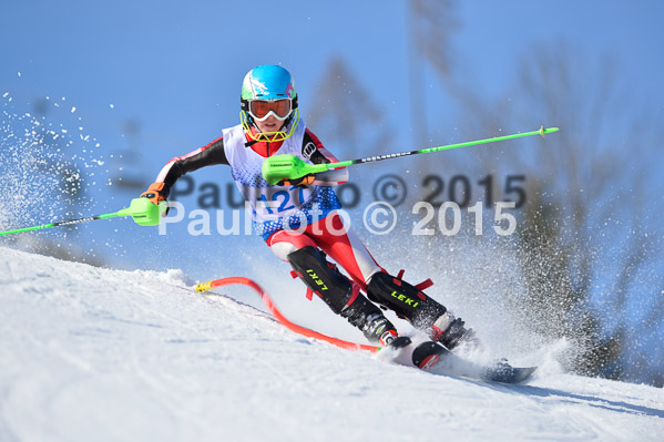 Sechzger Pokal SL 2015