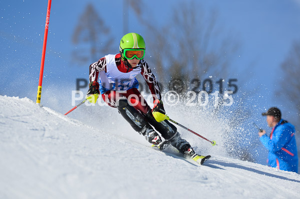 Sechzger Pokal SL 2015