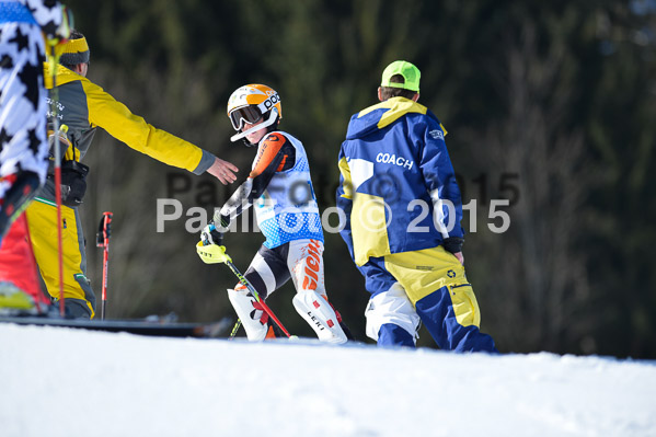 Sechzger Pokal SL 2015