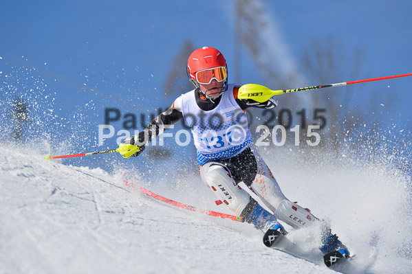 Sechzger Pokal SL 2015