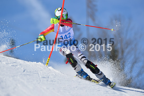 Sechzger Pokal SL 2015