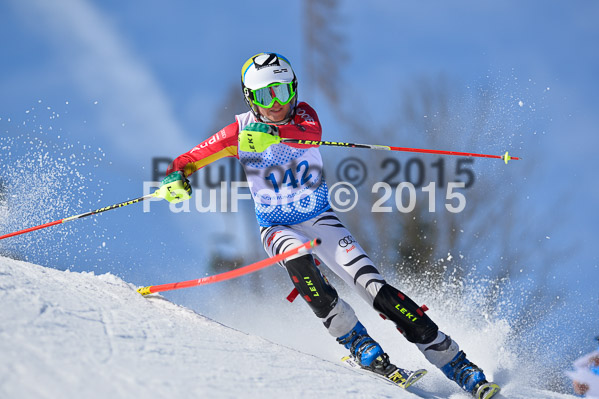 Sechzger Pokal SL 2015