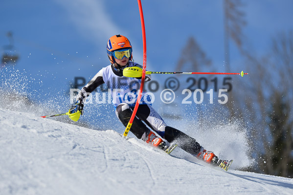 Sechzger Pokal SL 2015
