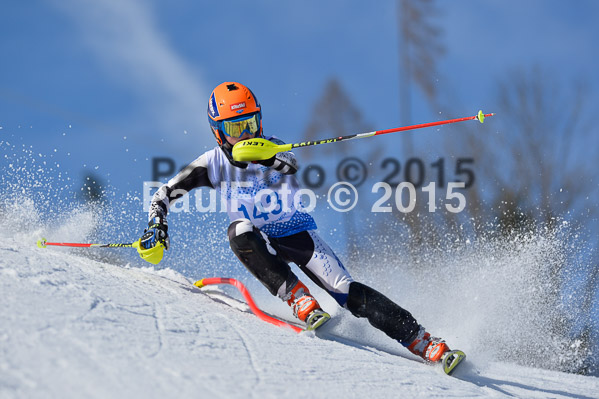 Sechzger Pokal SL 2015