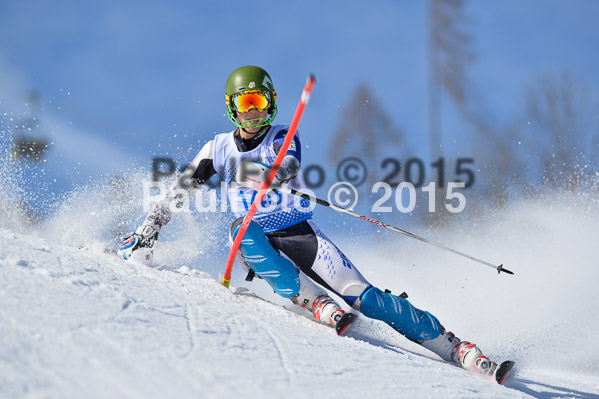 Sechzger Pokal SL 2015