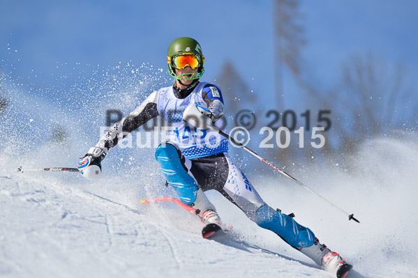 Sechzger Pokal SL 2015