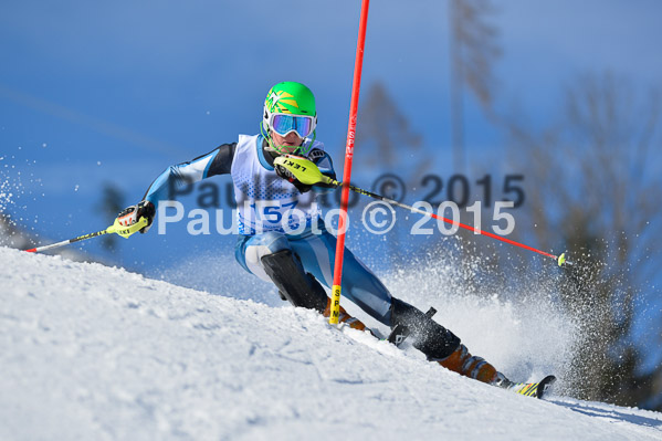 Sechzger Pokal SL 2015