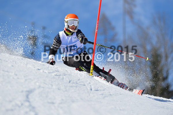 Sechzger Pokal SL 2015