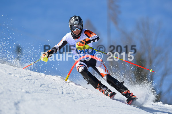 Sechzger Pokal SL 2015