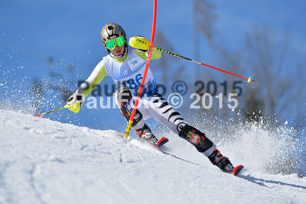 Sechzger Pokal SL 2015