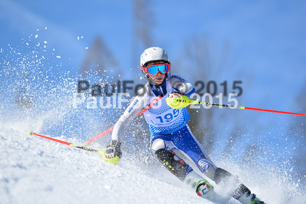 Sechzger Pokal SL 2015