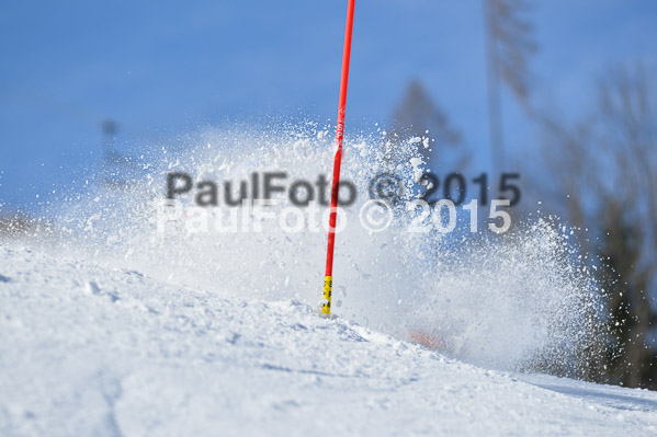 Sechzger Pokal SL 2015
