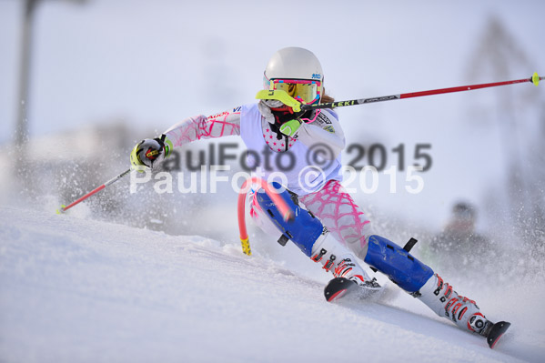 Sechzger Pokal SL 2015