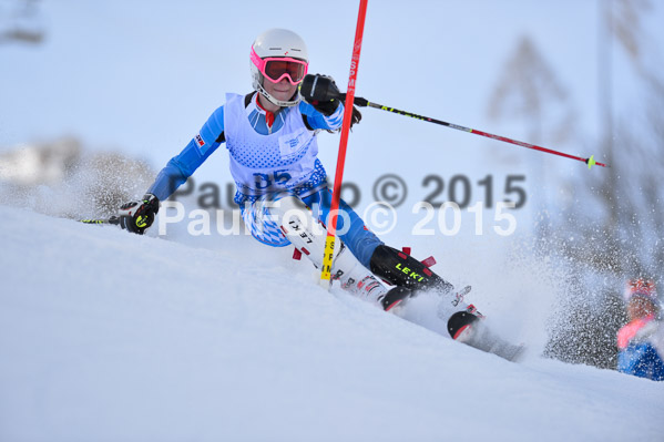Sechzger Pokal SL 2015