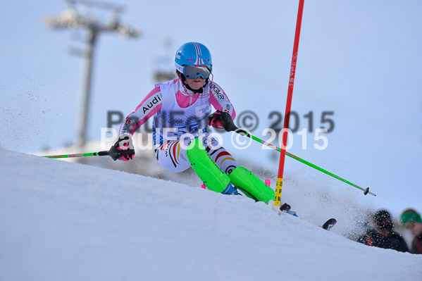 Sechzger Pokal SL 2015