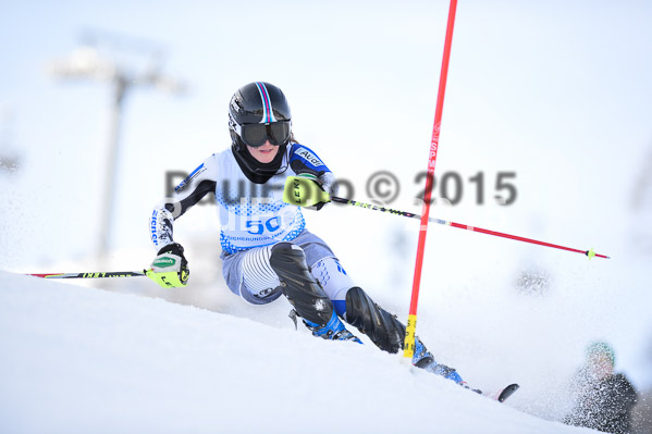 Sechzger Pokal SL 2015