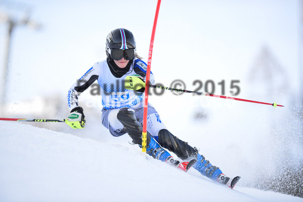 Sechzger Pokal SL 2015