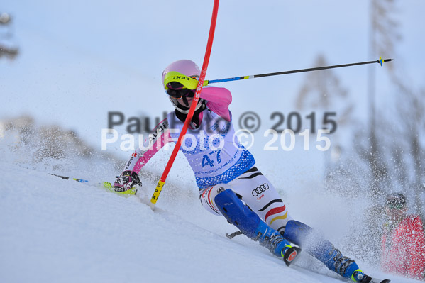 Sechzger Pokal SL 2015