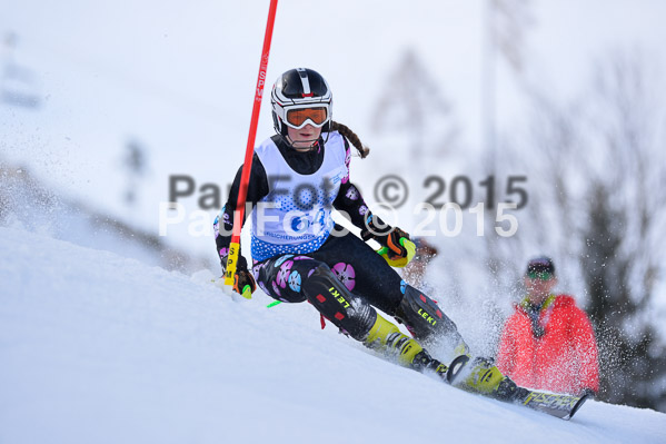 Sechzger Pokal SL 2015