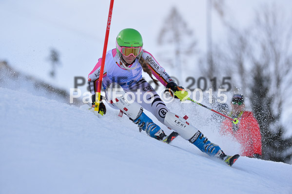 Sechzger Pokal SL 2015
