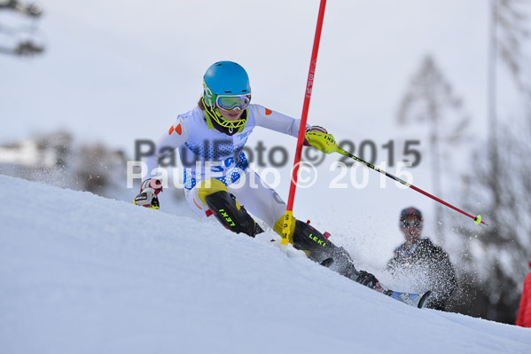 Sechzger Pokal SL 2015