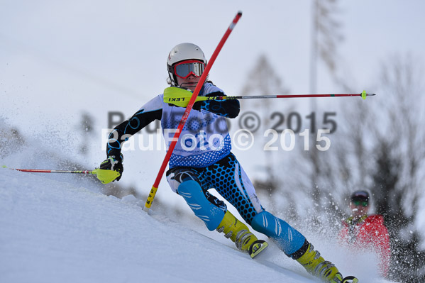 Sechzger Pokal SL 2015