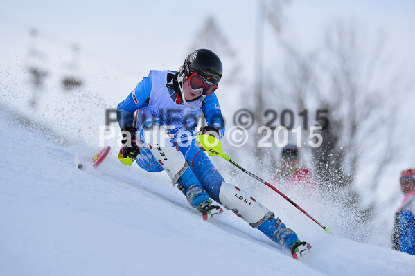 Sechzger Pokal SL 2015
