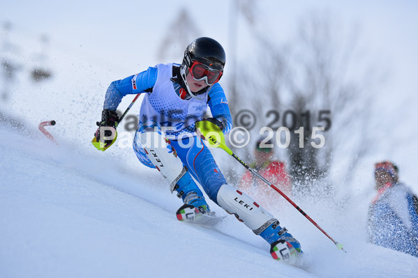 Sechzger Pokal SL 2015