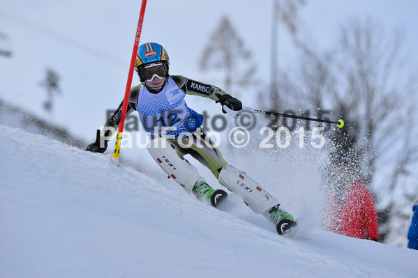 Sechzger Pokal SL 2015