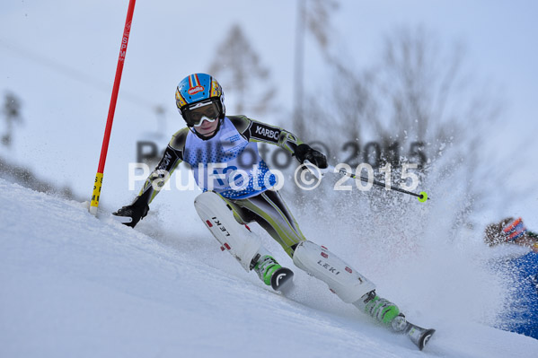 Sechzger Pokal SL 2015