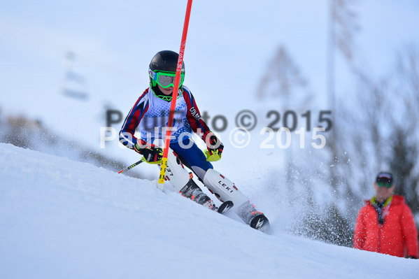 Sechzger Pokal SL 2015